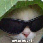 Сочная канава