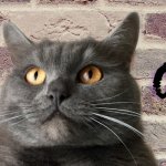 Скидки от Маркиза | Скидки. Акции.