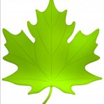 Школа Здоровья