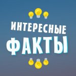 Интересные факты