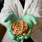 Дневники Паразитолога