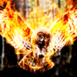 Поэзия мысли