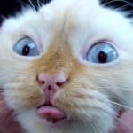 Анекдоты | Ржака +18 ??