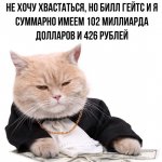 КотоДом - дом котиков и милого безумия