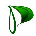 Психология ? во всем