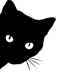 Прикольные котики!