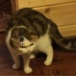 Путь программиста