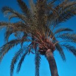 Отпускные фотографии