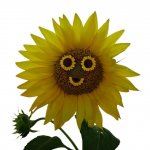 Экобизнес малая Кооперация жизнь в гармонии