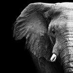 RA-JA | Цитаты