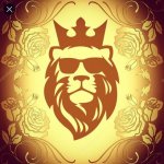 БОИ UFC (записи)