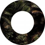 Далеко зашли!