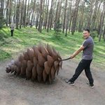 Пойду в лес, спрячусь