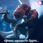 ПОСТИРОНИЯ & КРИНЖУЛЯ