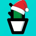 Кактус information