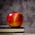 Пространство книг