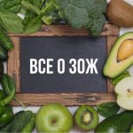 Всё о ЗОЖ