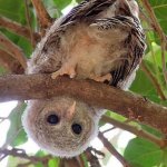 Мирзагранью