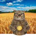 Finance Cats from Ukraine