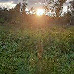 Здесь будет всё