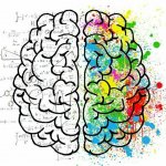 PRO Курсы | Новинки курсов каждый день