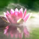 Путь саморазвития для всех