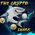 The Crypto Shark