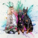 Щенки I доберман Тейя и Риска