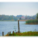 Душа России. В изображениях и строчках.