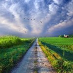 Коучинг и наставничество