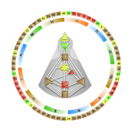 ДИЗАЙН ЧЕЛОВЕКА