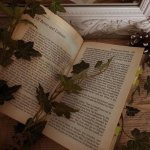 Книжные заметки