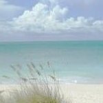 Душевная поддержка