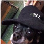 Здесь должны быть стикеры