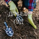 Дачный гид