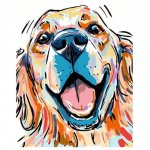 Пёсики-собачки ? ? - Смешные видео, моменты