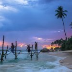 Невероятная жизнь