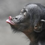 Смешнее с нами