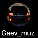 Gaev_muz