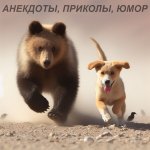 Анекдоты, приколы, юмор