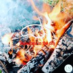 Shawarma in the city