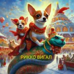 питомник чихуахуа РИККО ВИГАЛ