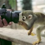 Интересное