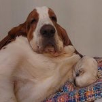 ФИЛОСОФИЯ ГАМЛЕТА