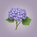 Гортензии | Тула | На заказ