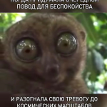 Сквозь разбитые очки