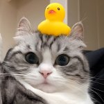 ❤️‍ Stickers Gold ❤️‍