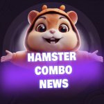 Hamster combat