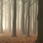 Атмосферные фото и видео