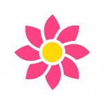 Электронный кошелек Пиастрикс | Piastrix